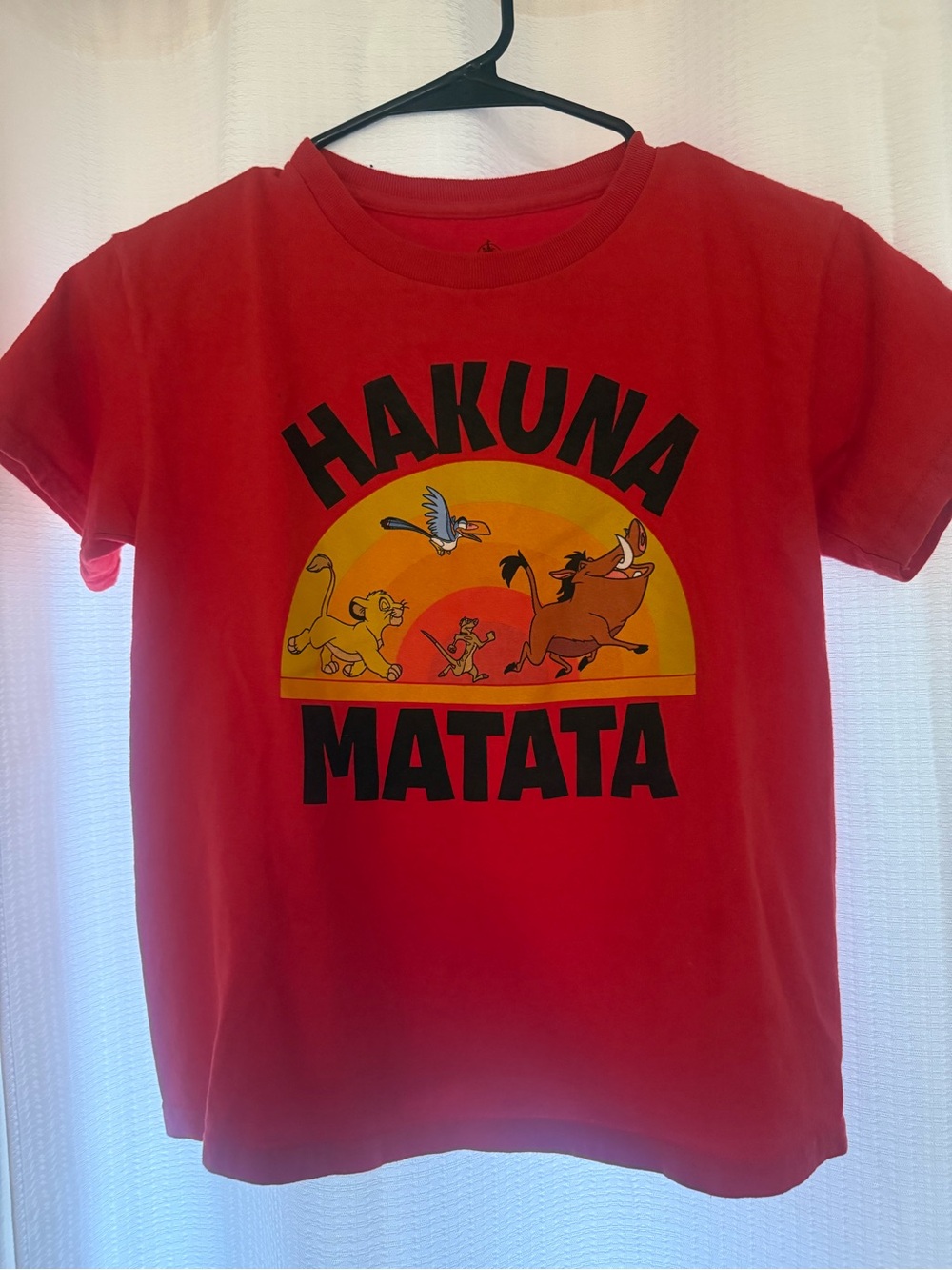 Kids "Hakuna Matata" Graphic Tee - Red small 8 Disney lion king boys